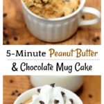 Microwave Peanut Butter and Chocolate Mug Cake